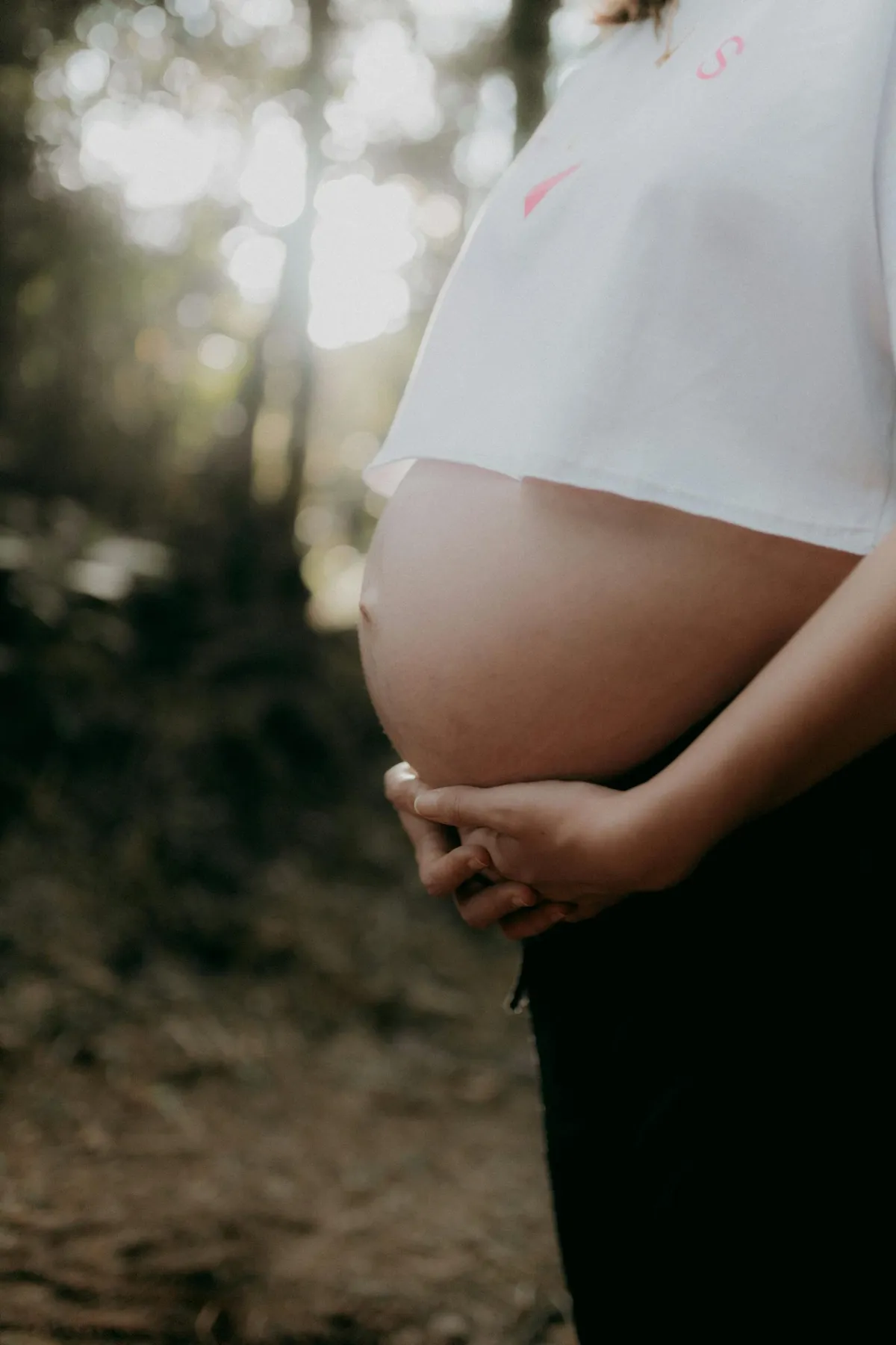 Gravid mage i varmt skogsljus, händer som vilar